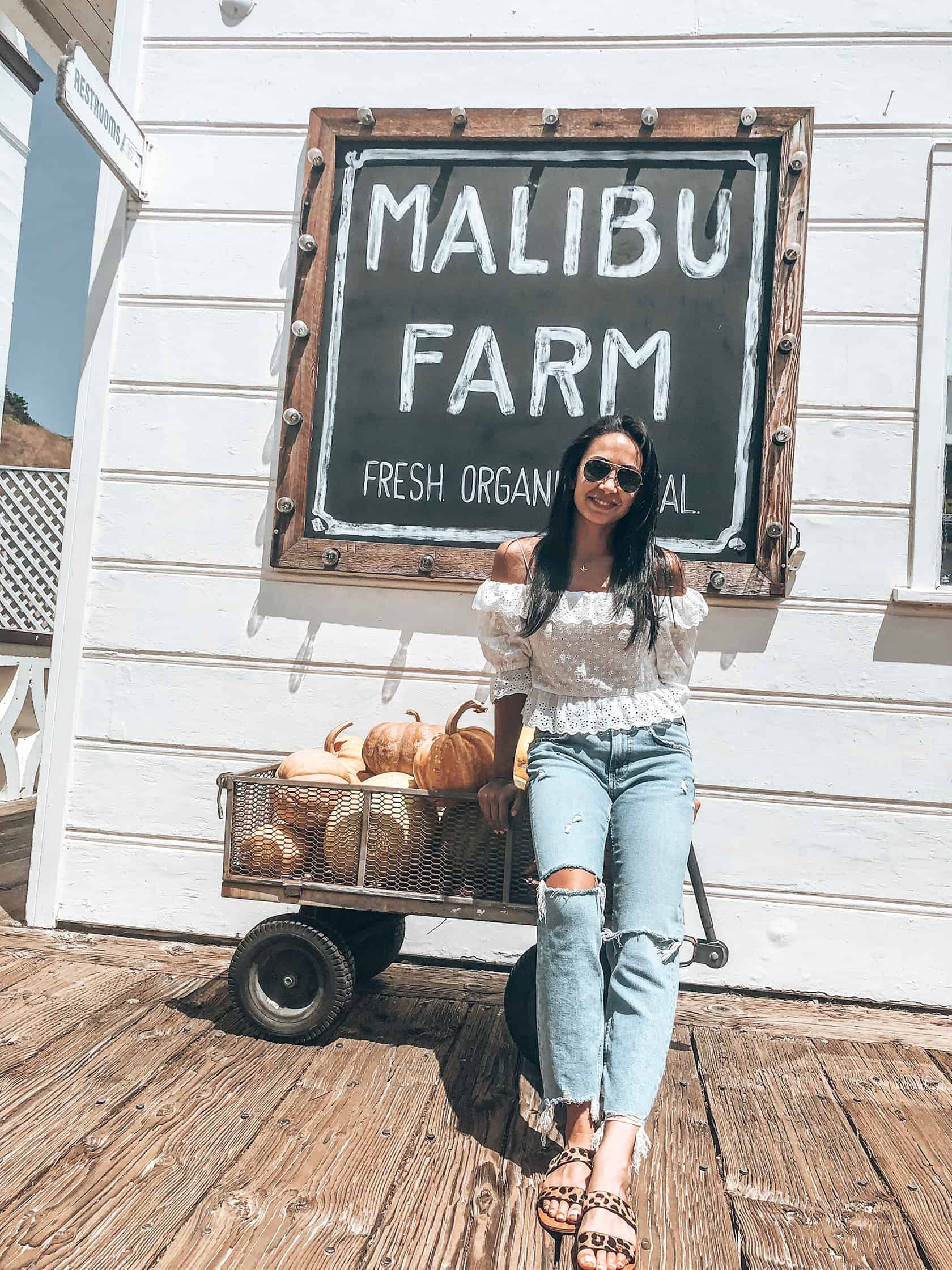 Malibu Farm