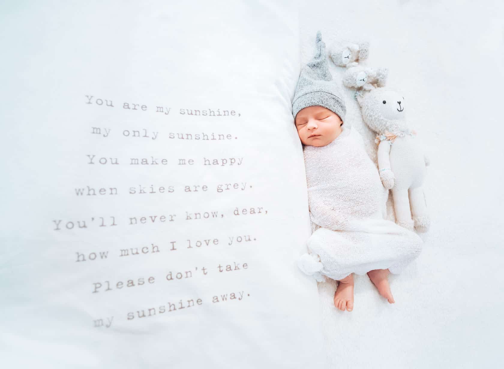 Newborn Photoshoot 